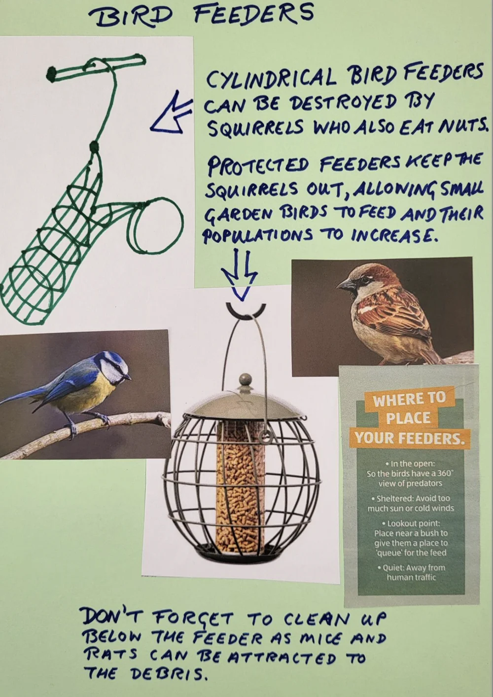 Flourish: Nature Recovery for People Living with Severe Mental Illness zine